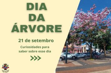 21 de setembro - Dia da Árvore/ Confira a programação especial 