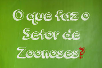 O que faz o Setor de Zoonoses?