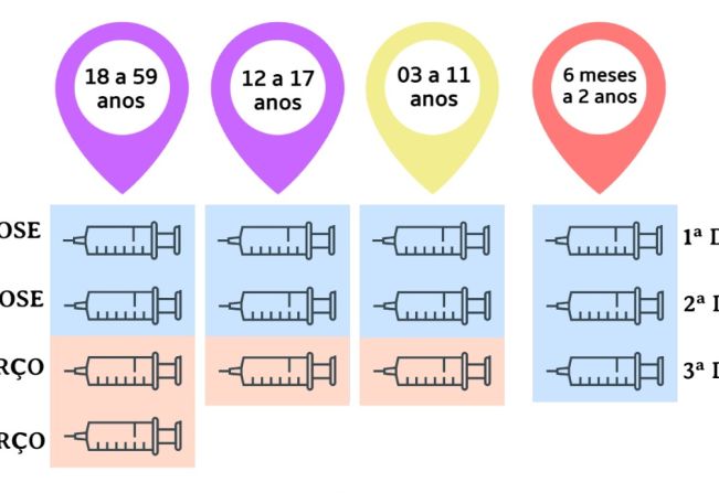 Entenda o Esquema Vacinal Completo contra a Covid-10 por idade