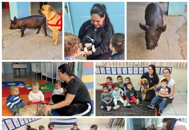 Creche Albertina realiza projeto sobre os “Cuidados com os animais”