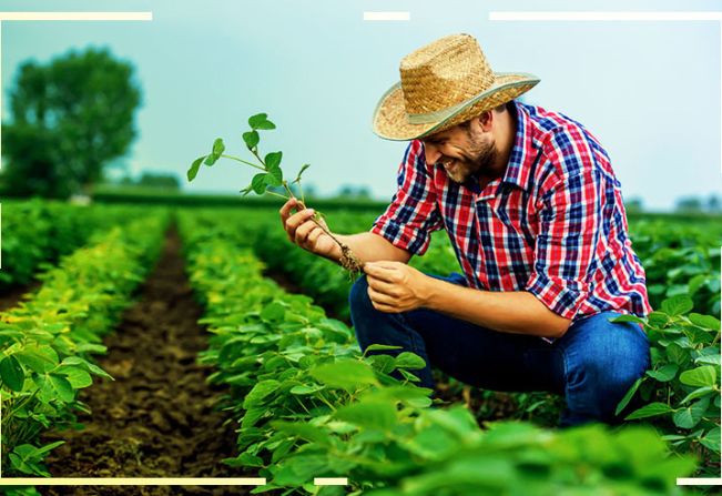 Utilidade Pública - Ministério da Agricultura publica sobre Programa de Garantia de Preços para a Agricultura Familiar e Programa de Subvenção ao Prêmio do Seguro Rural