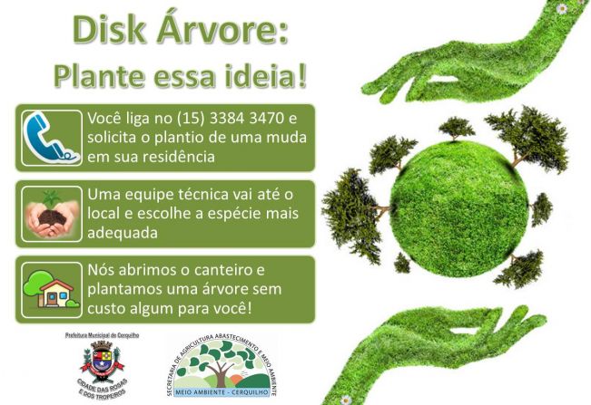 DISK Árvore em Cerquilho 