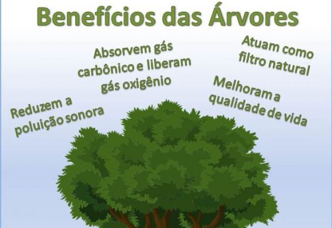 Benefícios das árvores