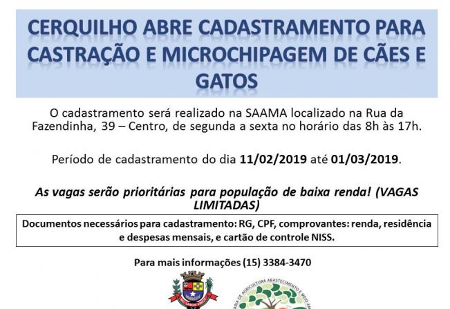 Prefeitura de Cerquilho abre cadastro para castração e microchipagem de cães e gatos