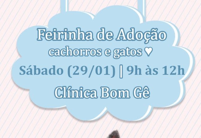 Feirinha de adoção dos animais resgatados pela Prefeitura