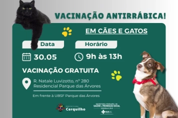 Campanha gratuita de vacinação antirrábica para cães e gatos