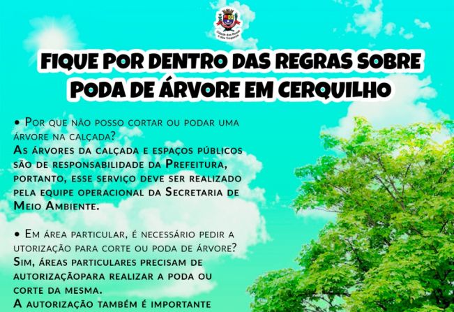 Fique por dentro da arborização urbana do município