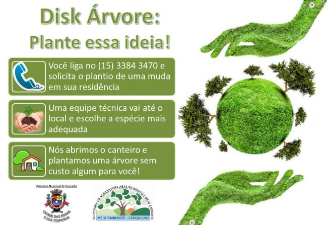 DISK Árvore em Cerquilho 