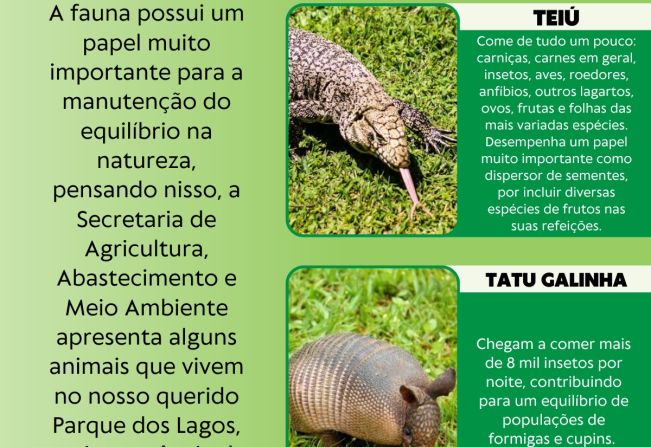 CONHECER PARA PRESERVAR – ANIMAIS DO PARQUE DOS LAGOS